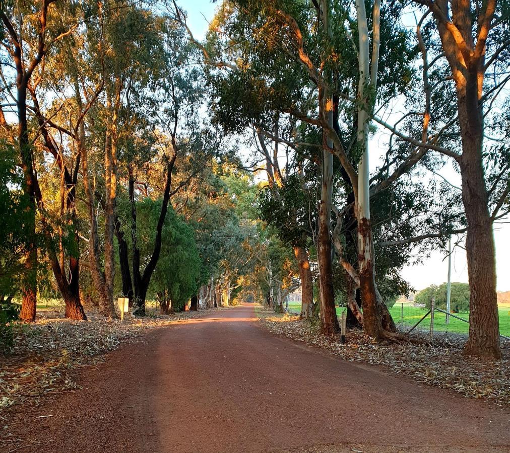 Bussells Bushland Cottages Margaret River Eksteriør billede
