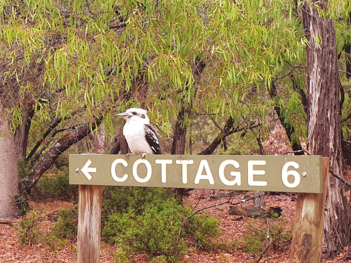 Bussells Bushland Cottages Margaret River Eksteriør billede