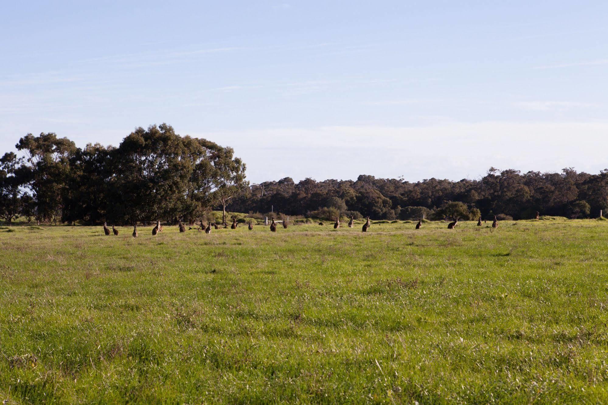 Bussells Bushland Cottages Margaret River Eksteriør billede
